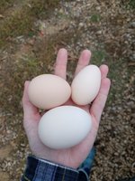 20171013_141654.jpg