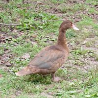IMG_1507.jpg