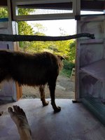 20171013_165635.jpg