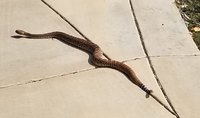 20171002_135222.jpg