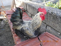 DSCN1978.JPG