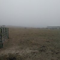 20171014_095704.jpg