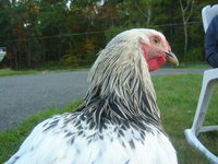 DSCN0060.JPG