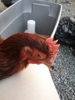 20171015_181121.jpg