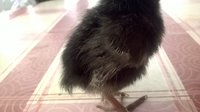 WP_20171016_11_01_22_Pro.jpg