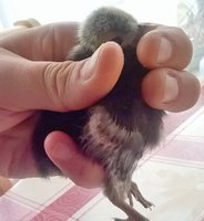 WP_20171016_11_01_53_Pro.jpg