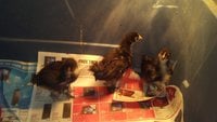 20171016_093251.jpg