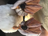 IMG_0729.jpeg