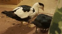 20170928_183816.jpg