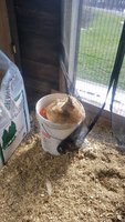 20170226_125514.jpg