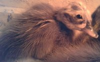 new_addition_03.jpg