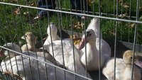 20171019_161724.jpg