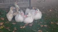 20171019_182953.jpg