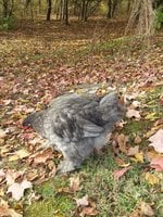20171021_103746.jpg