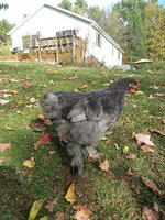 20171021_103815_resized.jpg
