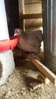Resized_20171022_150335.jpeg