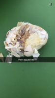 C42C9460-3E80-4764-9FEC-70B6D4AA8F79.png