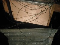 IMAG3233.jpg