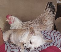 20171018_214653.jpg