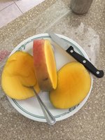Mango fruit.jpg