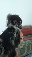 20171023_133928.jpg