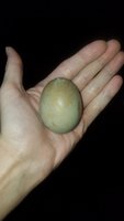 20171023_150210.jpg