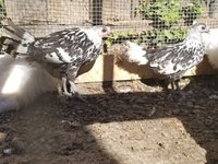 20171023_104854.jpg