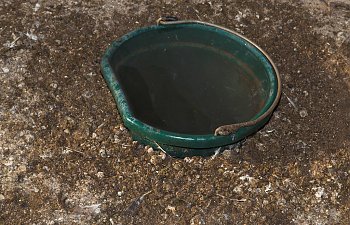 Water_bucket_X9196095_09-19-2017-001.jpg