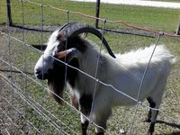 IMG_20170411_101300.jpg