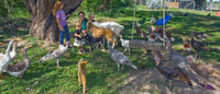 photobombing1.jpg