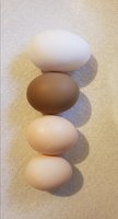 20171024_164920.jpg