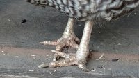 IMG_20171024_174749534.jpg