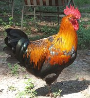 20160807_151801.jpg