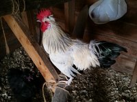 20160627_160047.jpg