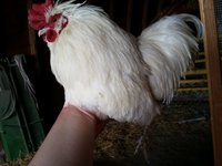20170528_113107.jpg