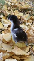 20171025_122811.jpg