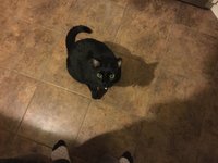 33C39507-E1F8-4E24-AB4D-2F310B0D4DE6.jpeg