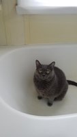 20170824_165054.jpg