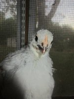 IMG_5008.jpg