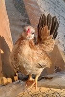 WP_20171027_10_19_08_Pro.jpg