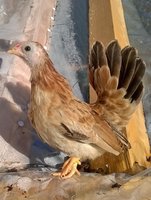 WP_20171027_10_19_17_Pro.jpg