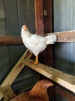 20171026_114007.jpg