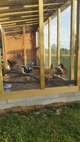 20151004_080331.jpg