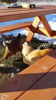 20160131_153039.jpg