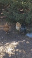 20160306_135810.jpg