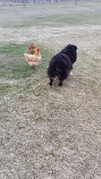 20160319_181158.jpg