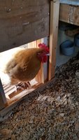 20160408_101200.jpg