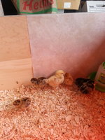 20140503_101115.jpg