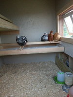 20140628_210209.jpg