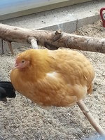 20140713_130459.jpg